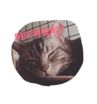 BiBi＆BoBo（個別スタンプ：4）
