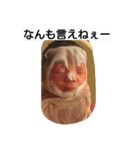 ekubo（個別スタンプ：6）