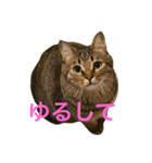 ノス兄さんのスタンプ（個別スタンプ：13）