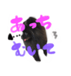 犬仔のリクと凛ʕ•ᴥ•ʔ（個別スタンプ：1）