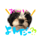 犬仔のリクと凛ʕ•ᴥ•ʔ（個別スタンプ：2）