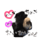 犬仔のリクと凛ʕ•ᴥ•ʔ（個別スタンプ：4）