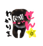 犬仔のリクと凛ʕ•ᴥ•ʔ（個別スタンプ：5）