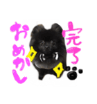 犬仔のリクと凛ʕ•ᴥ•ʔ（個別スタンプ：6）