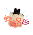 犬仔のリクと凛ʕ•ᴥ•ʔ（個別スタンプ：9）