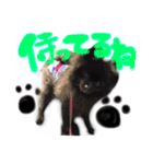 犬仔のリクと凛ʕ•ᴥ•ʔ（個別スタンプ：10）