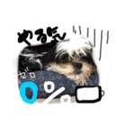犬仔のリクと凛ʕ•ᴥ•ʔ（個別スタンプ：14）