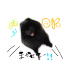犬仔のリクと凛ʕ•ᴥ•ʔ（個別スタンプ：15）