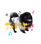 犬仔のリクと凛ʕ•ᴥ•ʔ（個別スタンプ：16）