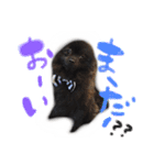犬仔のリクと凛ʕ•ᴥ•ʔ（個別スタンプ：20）