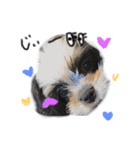 犬仔のリクと凛ʕ•ᴥ•ʔ（個別スタンプ：21）