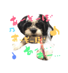 犬仔のリクと凛ʕ•ᴥ•ʔ（個別スタンプ：22）