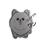 dogs.stamp@2（個別スタンプ：4）