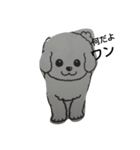 dogs.stamp@2（個別スタンプ：5）