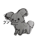 dogs.stamp@2（個別スタンプ：8）