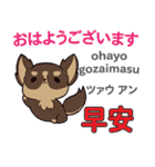 犬の気持ち 日本語台湾語（個別スタンプ：1）