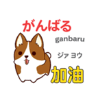 犬の気持ち 日本語台湾語（個別スタンプ：2）