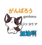 犬の気持ち 日本語台湾語（個別スタンプ：3）