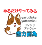 犬の気持ち 日本語台湾語（個別スタンプ：7）