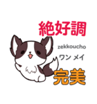 犬の気持ち 日本語台湾語（個別スタンプ：8）