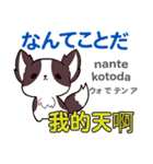 犬の気持ち 日本語台湾語（個別スタンプ：13）