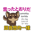 犬の気持ち 日本語台湾語（個別スタンプ：16）