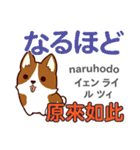 犬の気持ち 日本語台湾語（個別スタンプ：17）