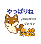 犬の気持ち 日本語台湾語（個別スタンプ：20）