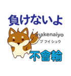 犬の気持ち 日本語台湾語（個別スタンプ：25）