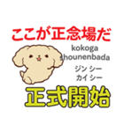 犬の気持ち 日本語台湾語（個別スタンプ：29）