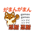 犬の気持ち 日本語台湾語（個別スタンプ：30）