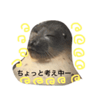 ぽてちと仲間たち（個別スタンプ：3）