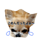 ぽてちと仲間たち（個別スタンプ：5）