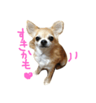 ぽてちと仲間たち（個別スタンプ：10）