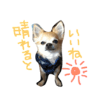 ぽてちと仲間たち（個別スタンプ：18）