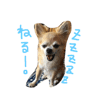 ぽてちと仲間たち（個別スタンプ：27）