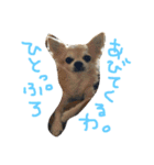 ぽてちと仲間たち（個別スタンプ：36）