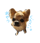 ぽてちと仲間たち（個別スタンプ：38）