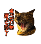 ねこのでんせつ2（個別スタンプ：2）