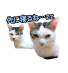 ねこのでんせつ2（個別スタンプ：6）