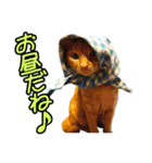 ねこのでんせつ2（個別スタンプ：10）