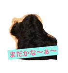 バーニーズの1日（個別スタンプ：21）