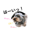 たろうくん 2。（個別スタンプ：4）