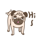 TK the pug（個別スタンプ：3）