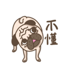 TK the pug（個別スタンプ：5）
