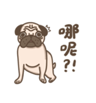 TK the pug（個別スタンプ：6）