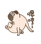 TK the pug（個別スタンプ：8）