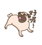 TK the pug（個別スタンプ：10）