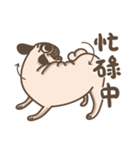 TK the pug（個別スタンプ：11）