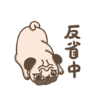 TK the pug（個別スタンプ：12）